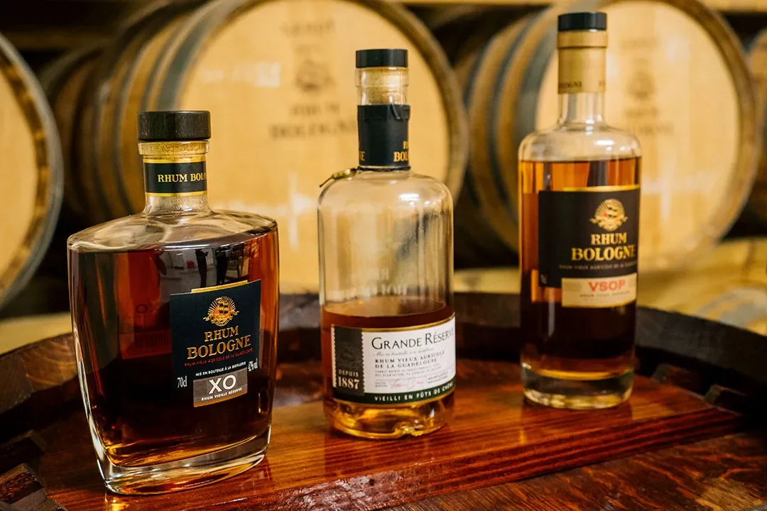 Distillerie Bologne, rhum AOC de Guadeloupe