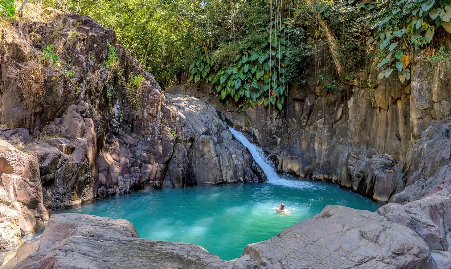 Saut de l'Acomat, bassin naturel et cascade en Guadeloupe