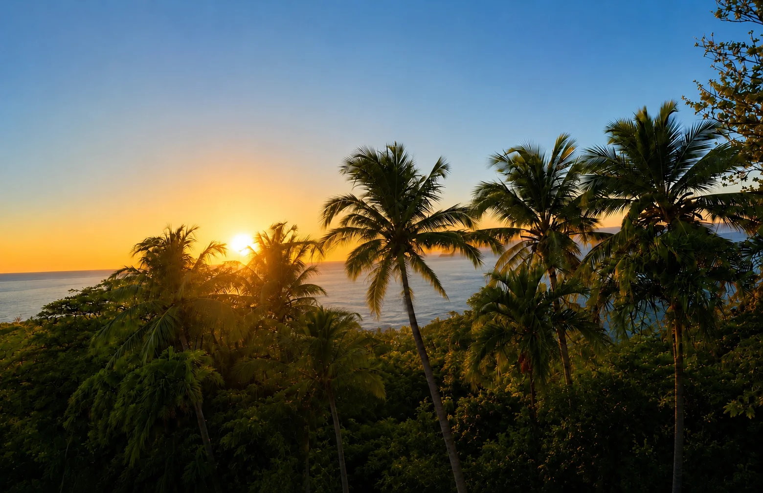Coucher de soleil sur la mer des Caraïbes avec palmiers